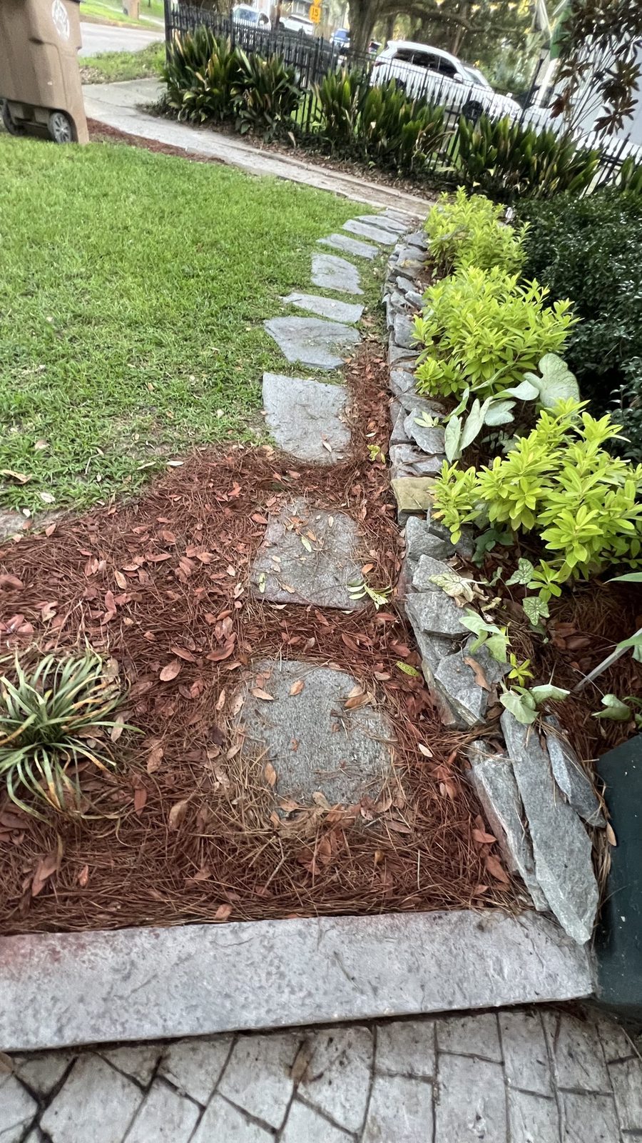 Front walkway with colored pine straw beds