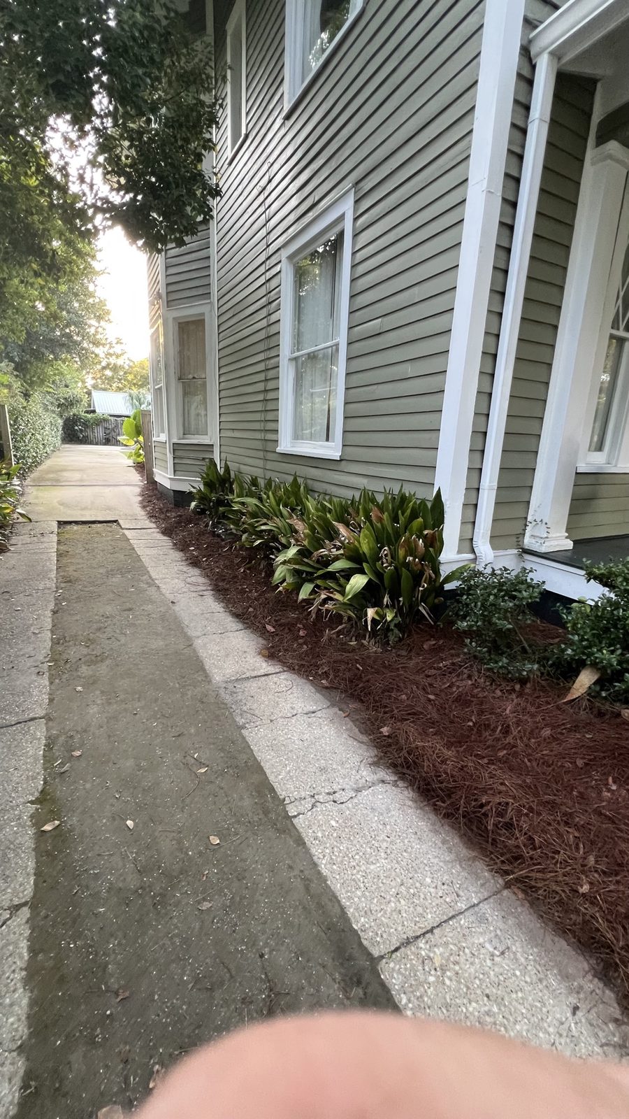 Walkway bed with pine straw colorant