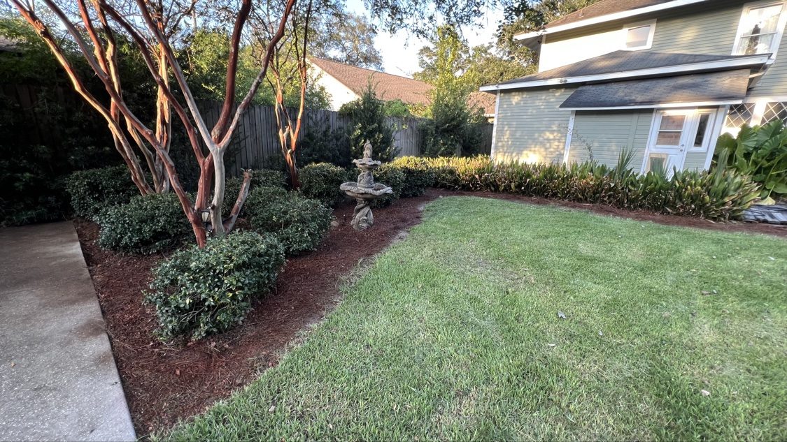Garden bed with pine straw colorant applied