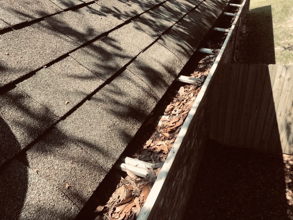 Gutter packed with fallen leaves before cleaning