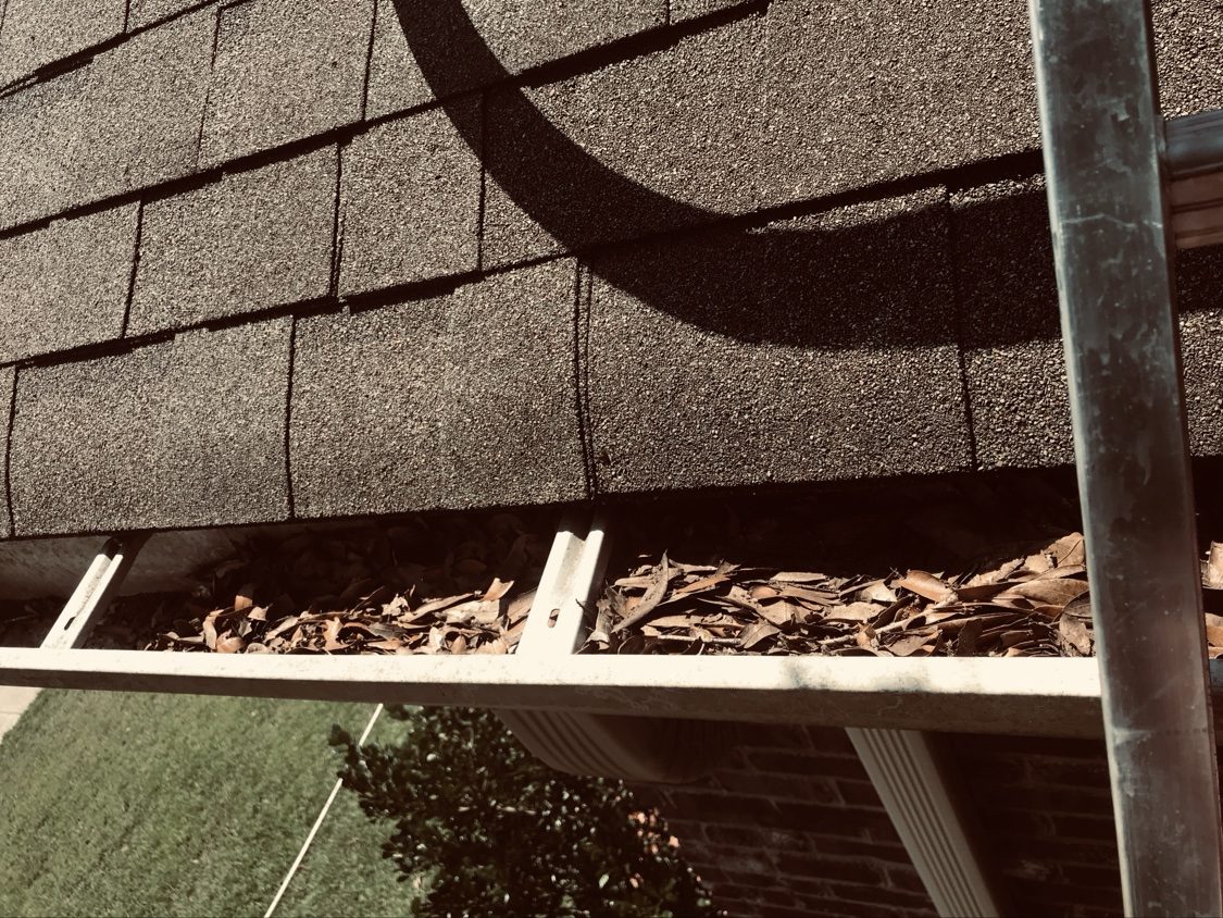Leaf-clogged gutter along the roofline before cleaning