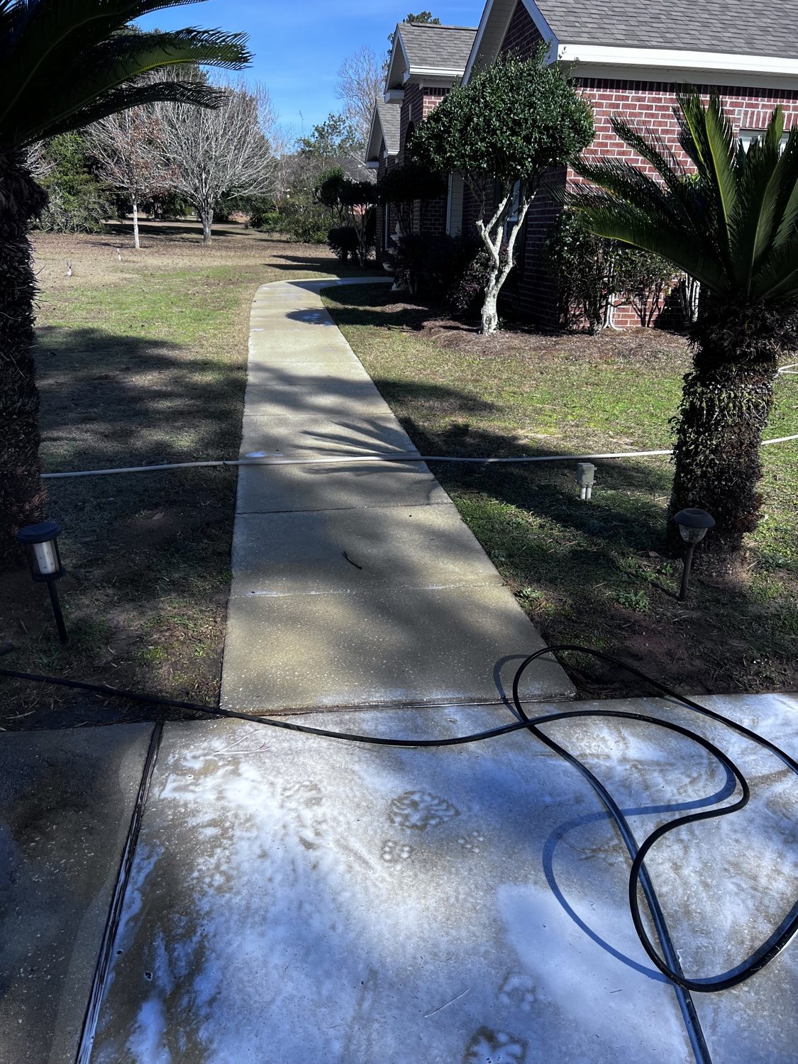 Walkway and driveway after pressure washing